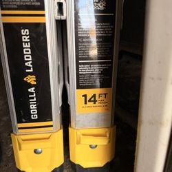 14 Ft Gorilla Ladder