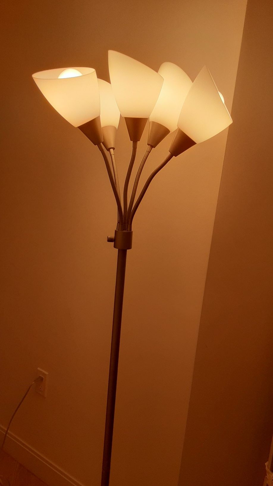 5 bulb floor lamp