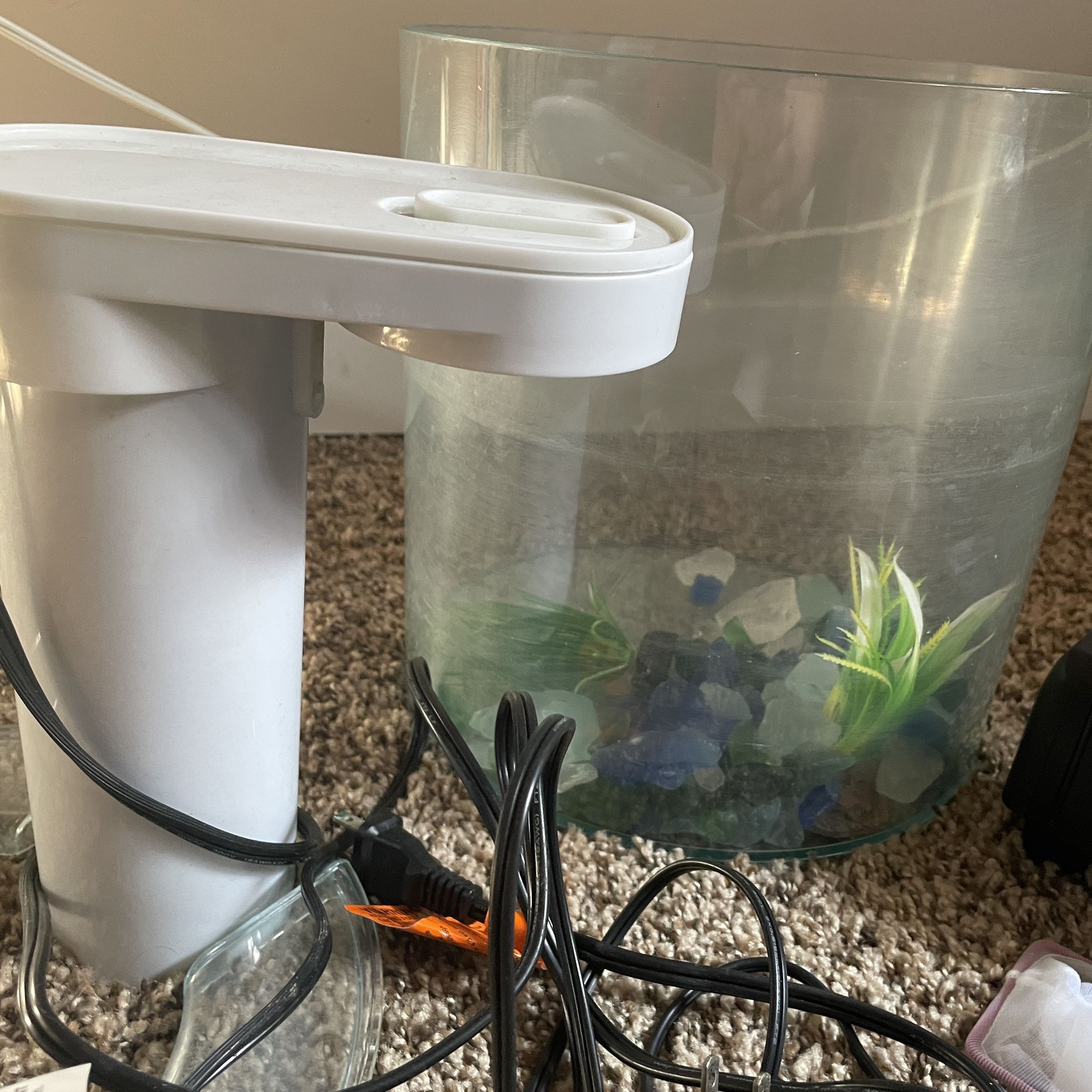 Fish Tank With Automatic Feeder