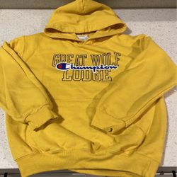 Boys Champion Hoodie Size 7-8