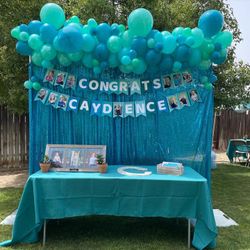 Balloons And Backdrops 