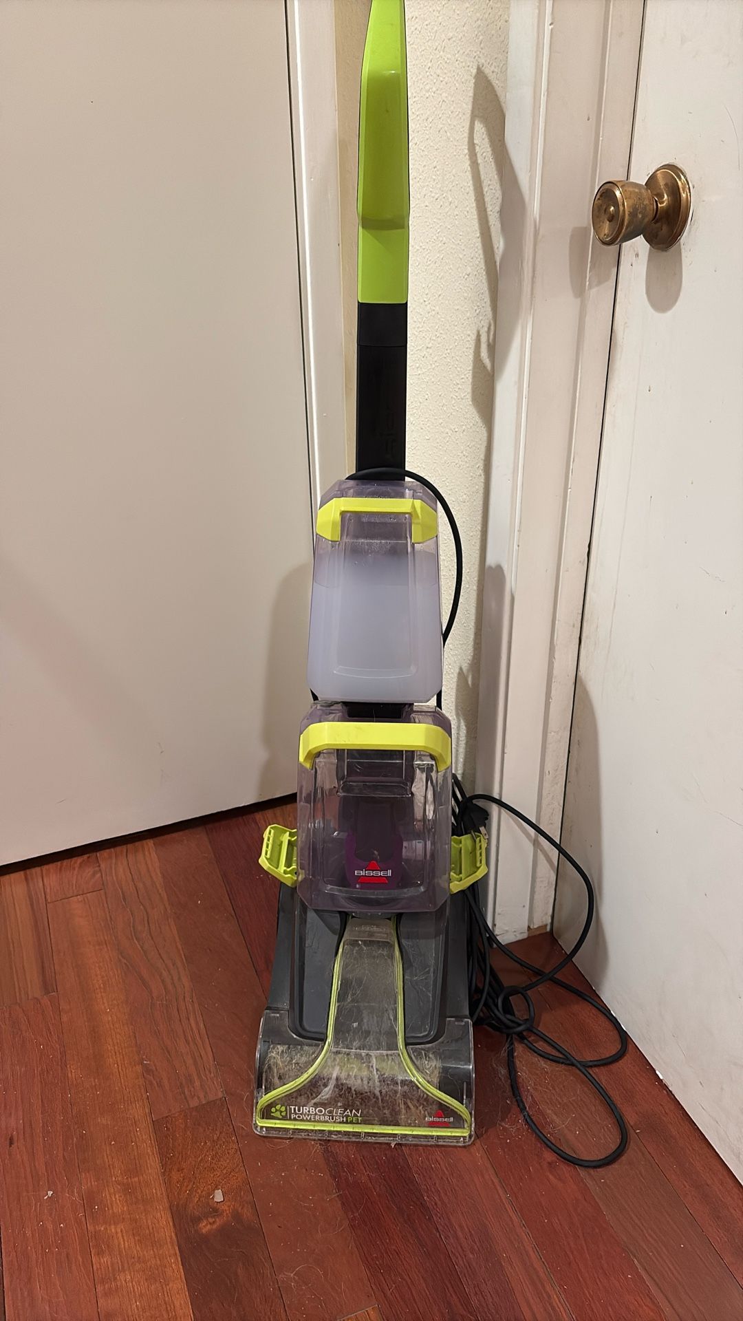 Carpet Cleanser