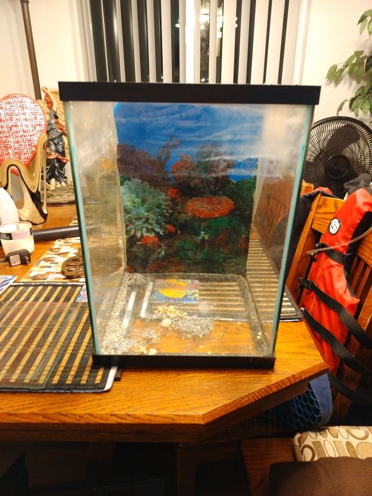 10 Gallon Fish Tank Square