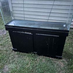55 Gallon With Stand And Top And Lights