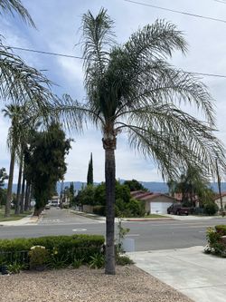 For Sale (contact info removed)/ (contact info removed)