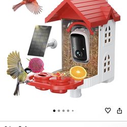Bird Feeder with Camera