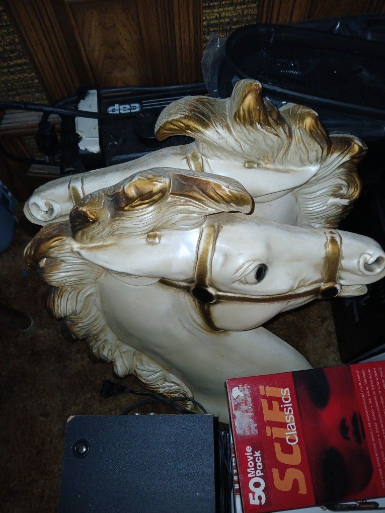 Horse Heads 