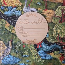 Hello World Infant Plaque