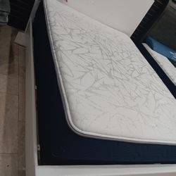 *Weekly Feature*---Renaissance Glossy White Queen/King Bed Frames---Now $199!!!---Store Pickup And Delivery🤠