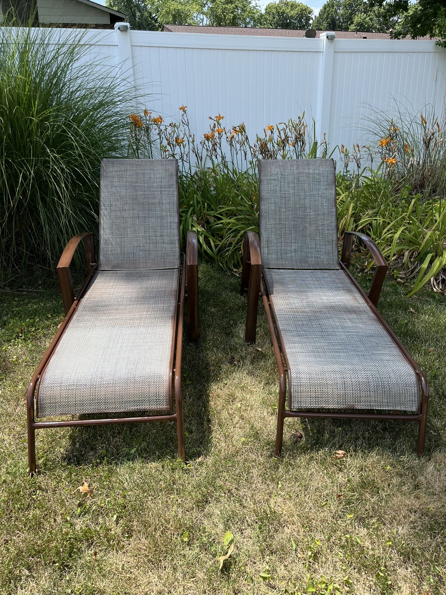 Two Newly Painted Brown Pool Loungers