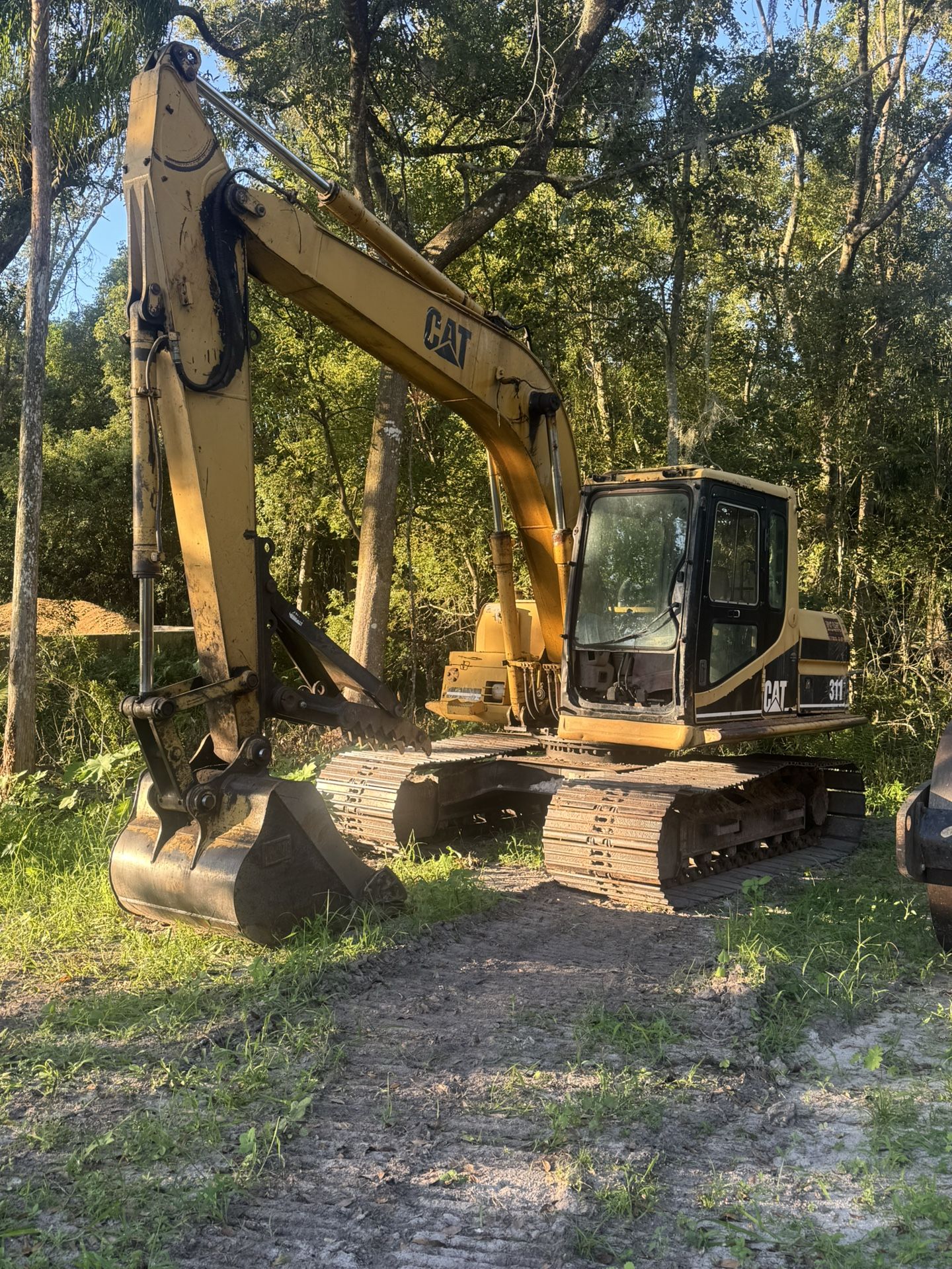 cat 311