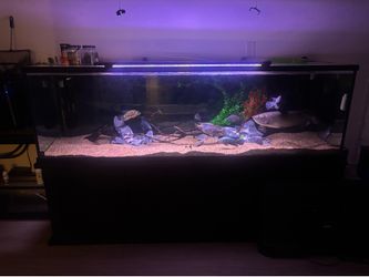 Aquarium