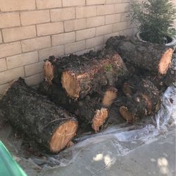 Free Log
