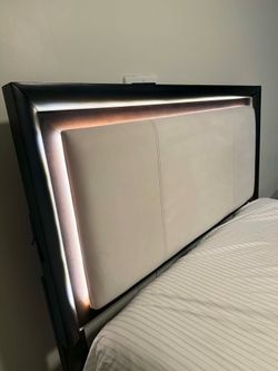 Queen Bed with Free Mattress and Box Spring