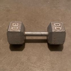 30lb Dumbbell 