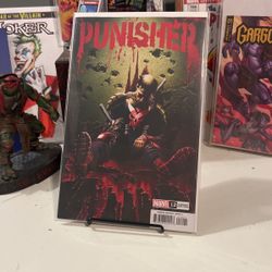 Punisher #12 - Variant Cover