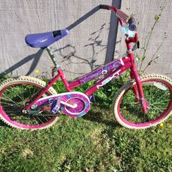 Used Girls Bicycle