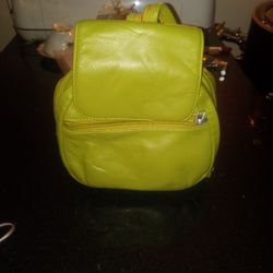 Green Leather Bag Pack
