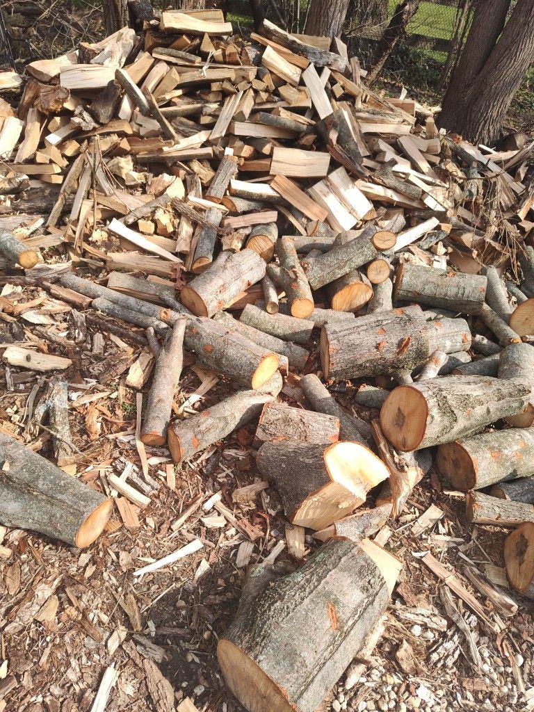 Firewood