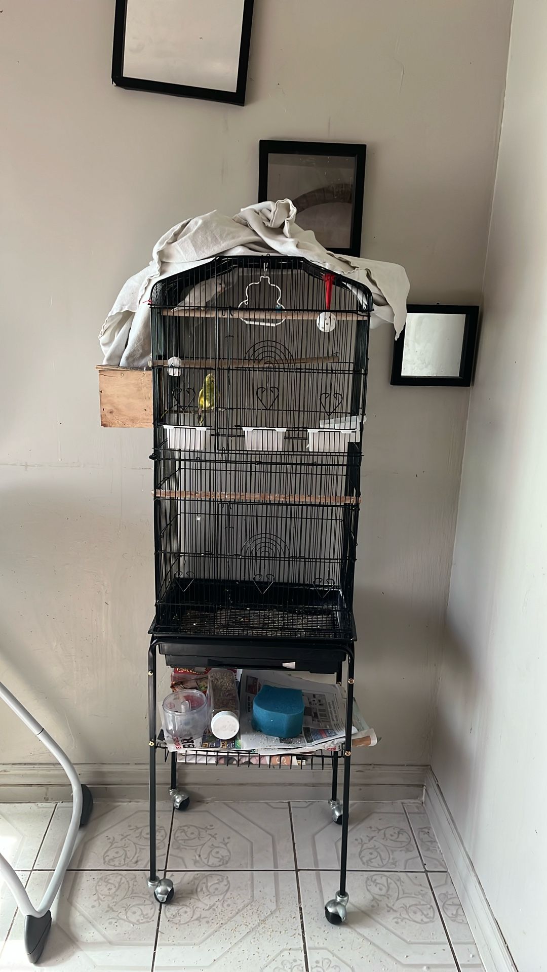 birdcage