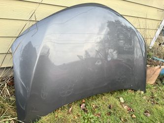 2015 Toyota RAV4 Hood And Fender