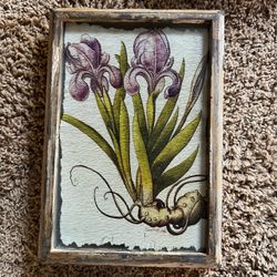 Botanical prints