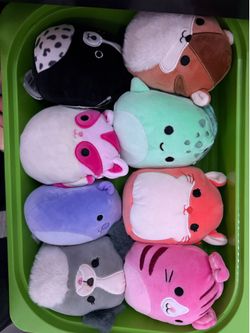 mini squishmallows