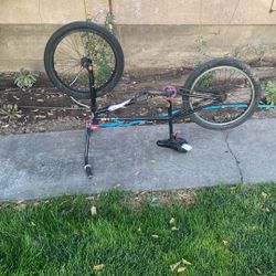 24 Inch Fitbike