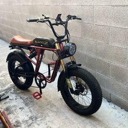 Electric Bike 