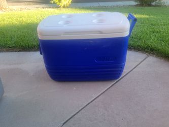 Ice chest and water cooler