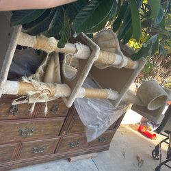 Cat Apartment