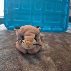 TY Beanie Baby