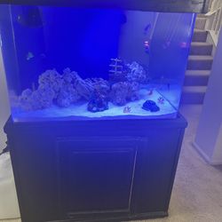 60 Gal Corner Fish Tank 