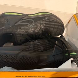 Lebron James Nike shoes