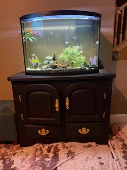 Fish tank + stand
