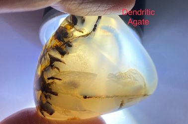Dendritic Agate Polished Stone from USA 13g