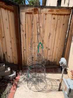 FREE tomato cages