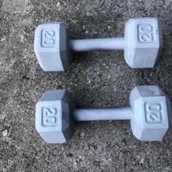 Pair of Steel 20 Lbs Dumbbells 