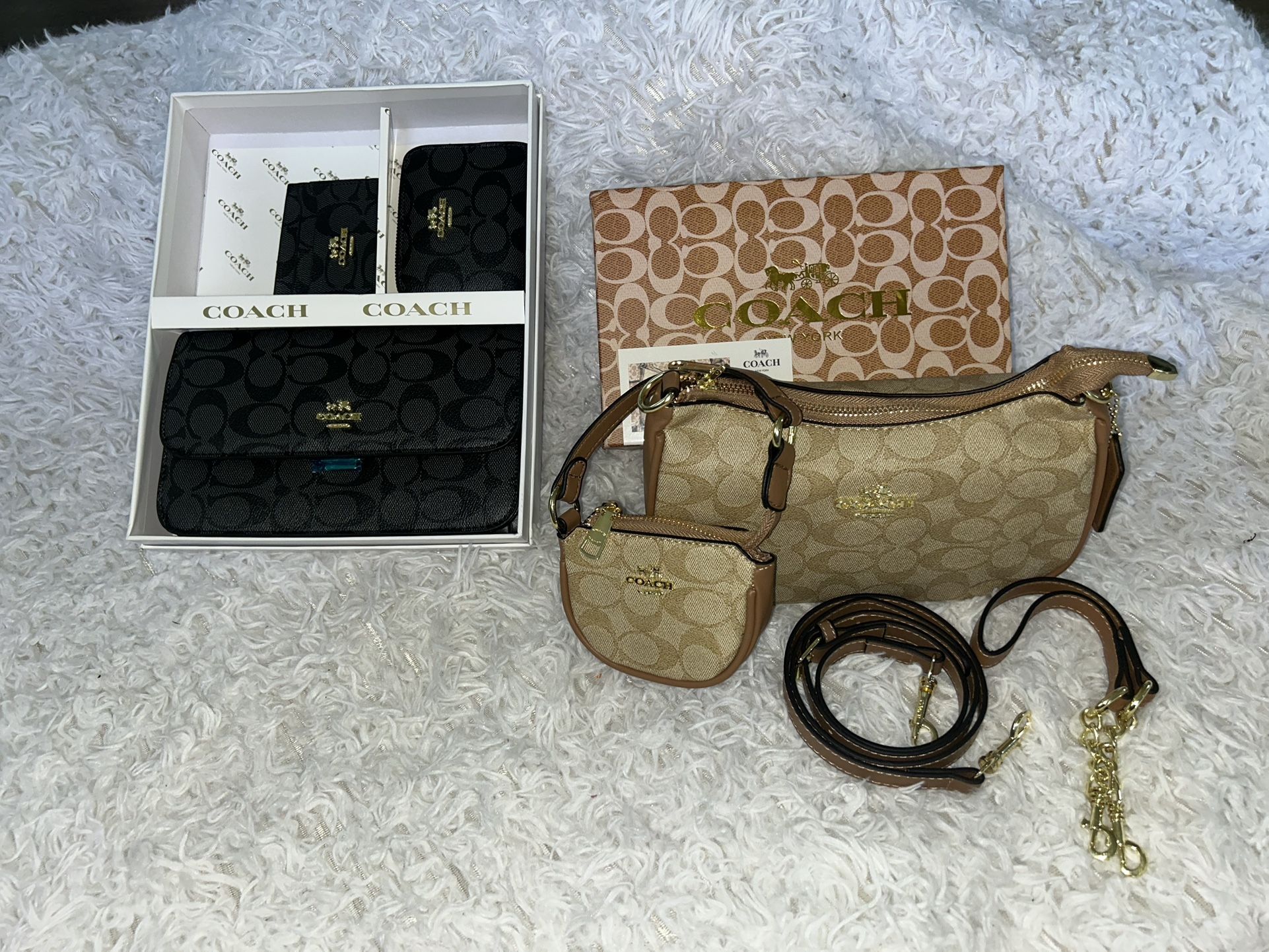 Coach Teri 🤎🤎🤎🖤