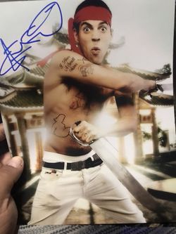 Steve O Images