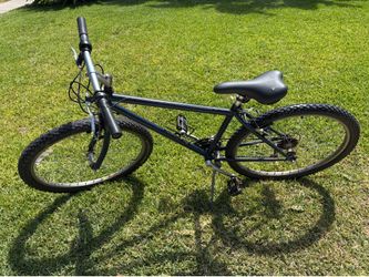 Raleigh Cycle Company Adult Bike - 16 in frame