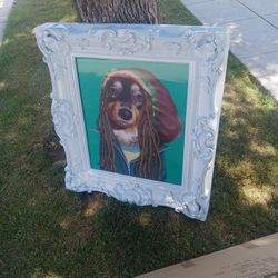 Dog Picture 