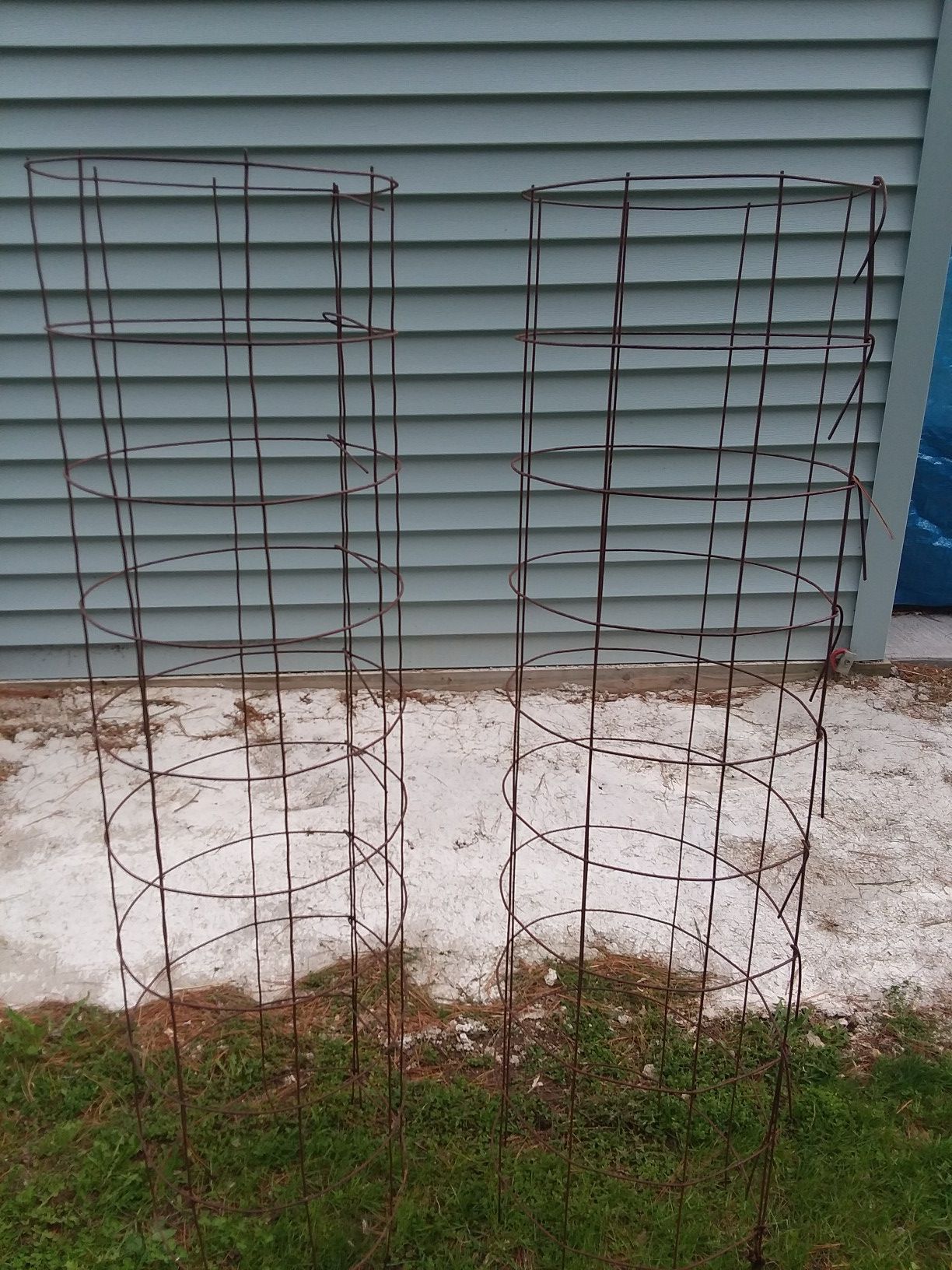 Tomatoe cages