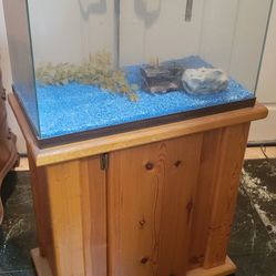 20 Gallon Fish Tank With Solid Wood Stand And Accesories 