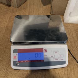Multipurpose & Food Scale