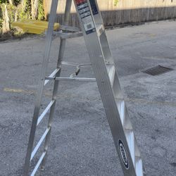10ft Aluminum Ladder 
