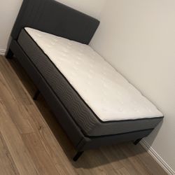 Mattress Firm Zinus And Bed Frame For Sale