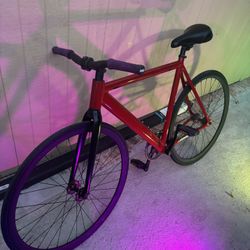 Golden Cycle fixie