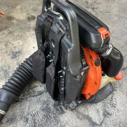 Echo Leaf Blower