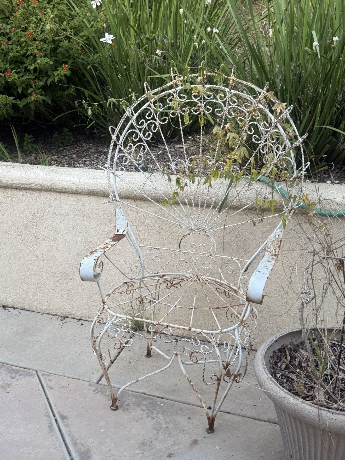 Metal Chair